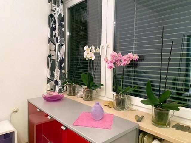 Ferienwohnung Anita 빌라흐 외부 사진